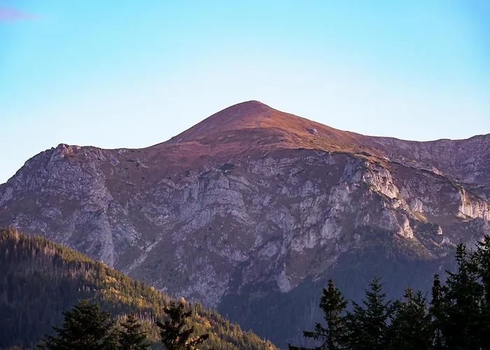 Osada Widokowa Koscielisko, Odkryj-zakopane